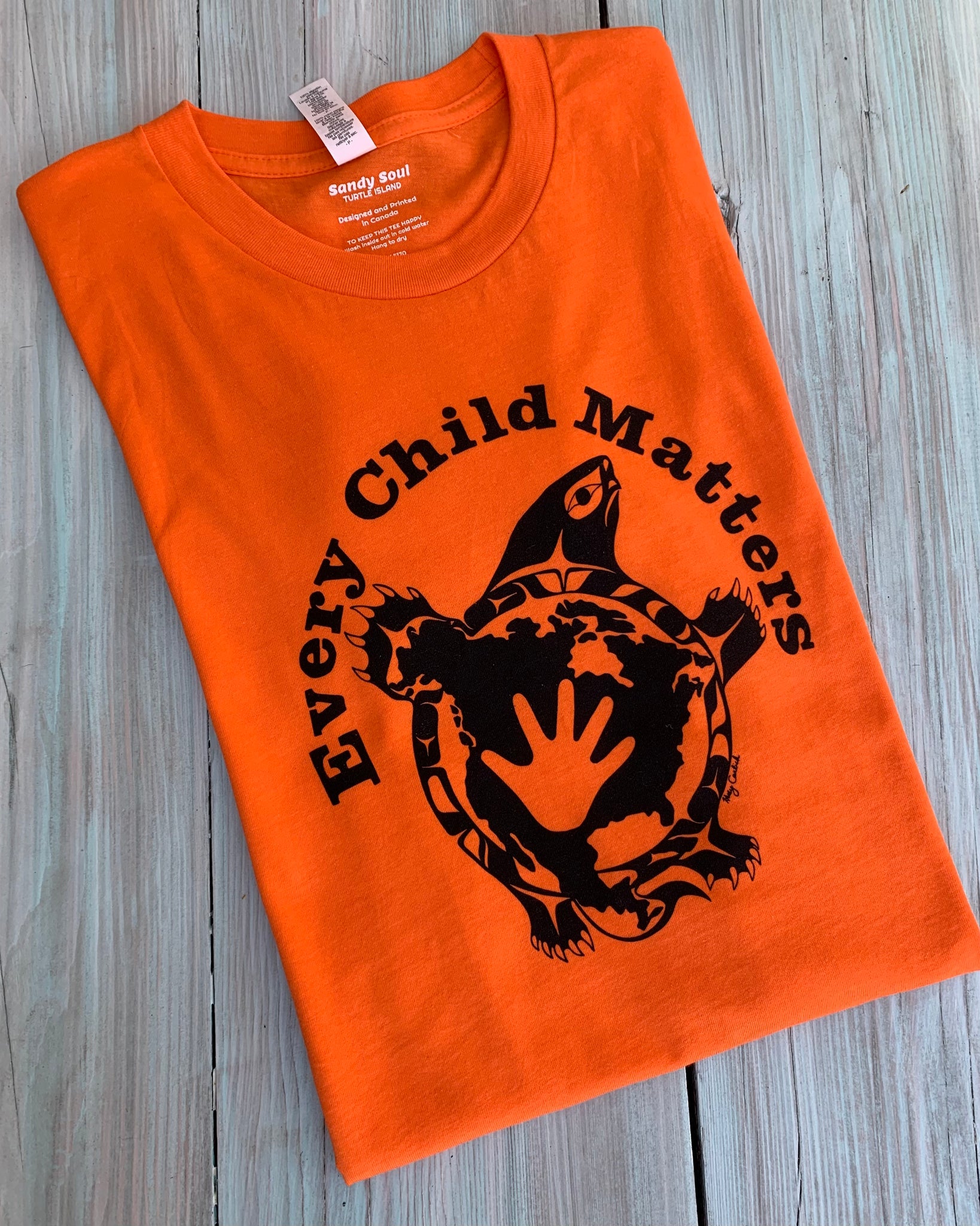 Turtle island t 2024 shirt